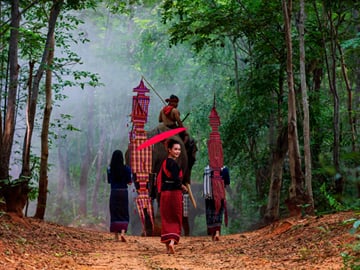 Elephant Nature Park (Half Day)