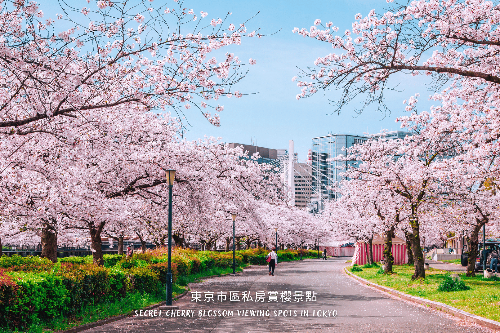 MyProGuide Japan | Reliable Japan Local Day Tour Guides