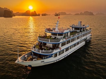 Swan cruise