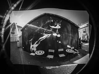 Private Reykjavik Street Art Backstreets and Stories , photo 6