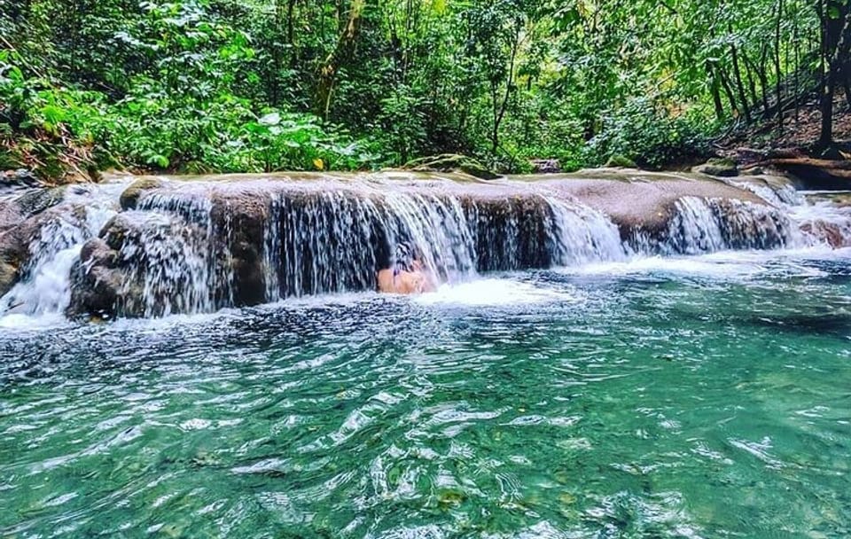 Guided Tour of Dunn's River Falls and Luminous Lagoon from Falmouth