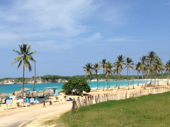 Safari of Fields - Punta Cana 3