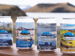 Mývatn Öl brewery and beer tasting tour, photo 10