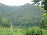 "BIKE 8" 1-Day Rain forest and lake, mountain bike ride, Chiang Mai 8
