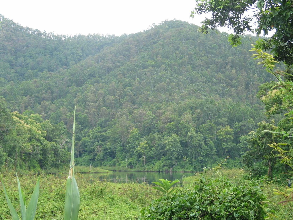 "BIKE 8" 1-Day Rain forest and lake, mountain bike ride, Chiang Mai 8