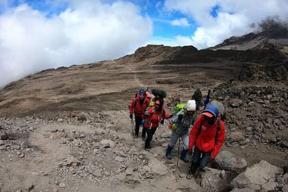 1 Day Mount Kenya National Park Hike Through Narumoro Route