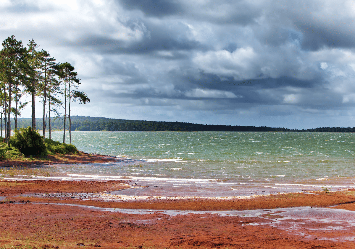 Mauritius: South Bus Tour with Lunch and Entry Fee