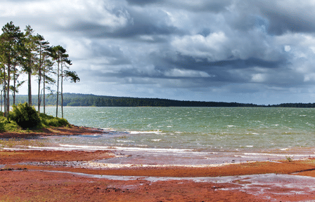 South Mauritius Bus Tour with Lunch and Nature Walk