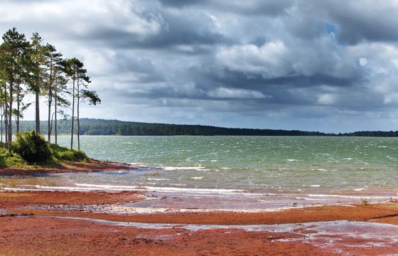 Mauritius: South Bus Tour with Lunch and Entry Fee