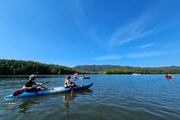 Kayaking or Longtail Boat Tour of Ko Lanta Yai Mangroves