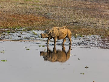 3-Day Wildlife Safari Tour in Chitwan National Park from Kathmandu