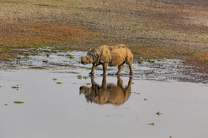 3-Days Chitwan National Park Tour from Kathmandu by private vehicle