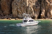 Private Marlin Charter Cabo 5 Hour 38ft Yacht 6 Anglers 5