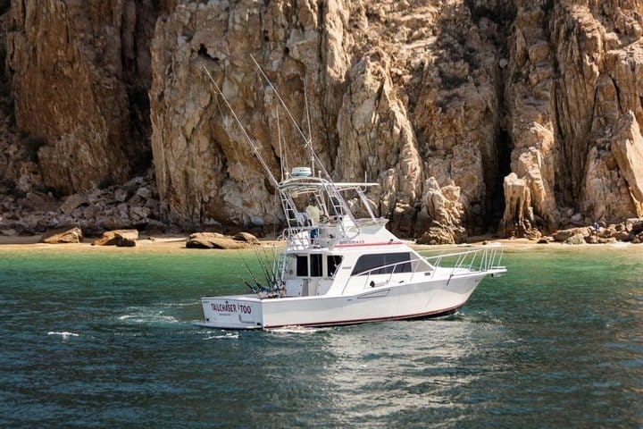 Private Marlin Charter Cabo 5 Hour 38ft Yacht 6 Anglers 5
