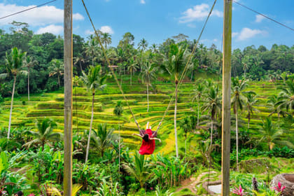 Ubud: Waterfall, Rice Terraces & Monkey Forest Private Tour