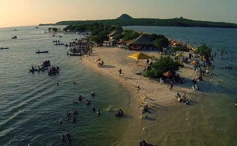 Explore Alter do Chao on a Guided Day Trip from Belém