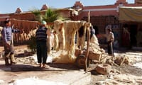 Tiout&Taroudant - guided day trip from Taghazoute 10