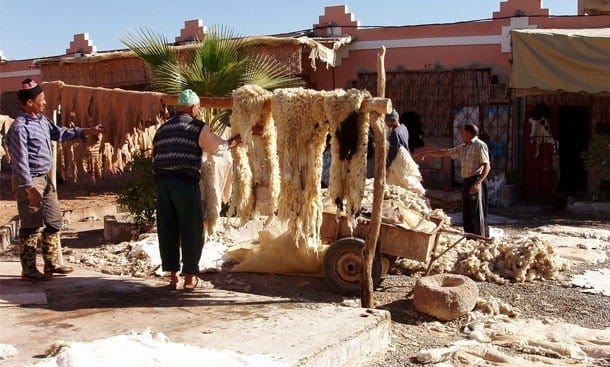 Tiout&Taroudant - guided day trip from Taghazoute 10