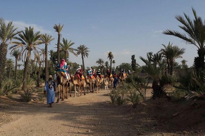 Camel Ride in the Palm Grove 4
