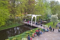 View of Keukenhof flower gardens