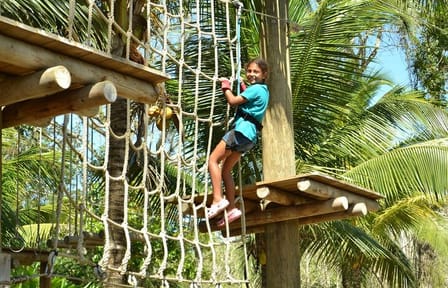 Zipline Adventure and Dunn's River Falls Tour from Montego Bay