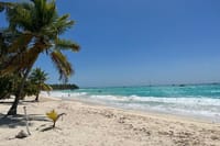Saona Island and Chavon River Tour with Lunch and Drinks 9