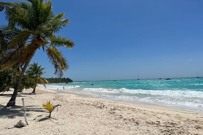 Saona Island and Chavon River Tour with Lunch and Drinks 9