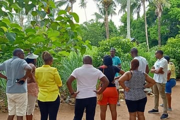 Zanzibar Spice Farm Exploration Tour in Tanzania