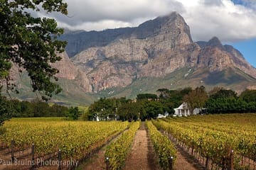 Franschhoek Wine Tram Hop-On Hop-Off Tour from Cape Town