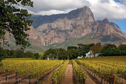 Franschhoek Wine Tram Hop-On Hop-Off Tour from Cape Town.