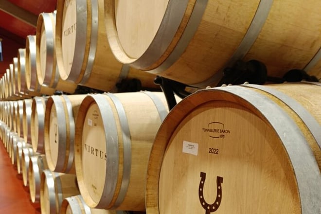 2 Day Ribera del Duero Private Wine Tour from Madrid - Photo 2