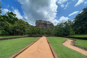From Colombo: Sigiriya, Dambulla & Safari Day Trip