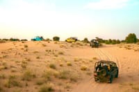 Dubai Heritage Safari in Vintage Land Rover Al Marmoom Oasis 3