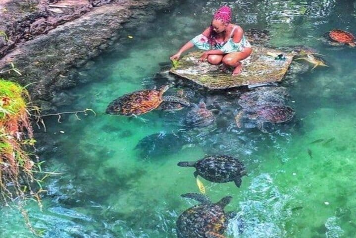 Zanzibar Spice Farm Tour and Cooking Class With Lunch