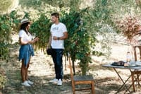 Optional winery visit