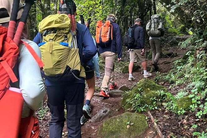 A line of hikers with large backpacks and trekking poles walking uphill through a green, wooded area.