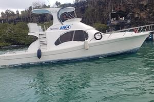 Transfer from Isabela Island to Santa Cruz Island - Musement