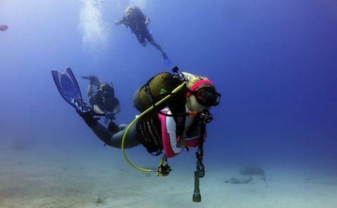Scuba Diving Adventure with Lunch in Alanya, Türkiye