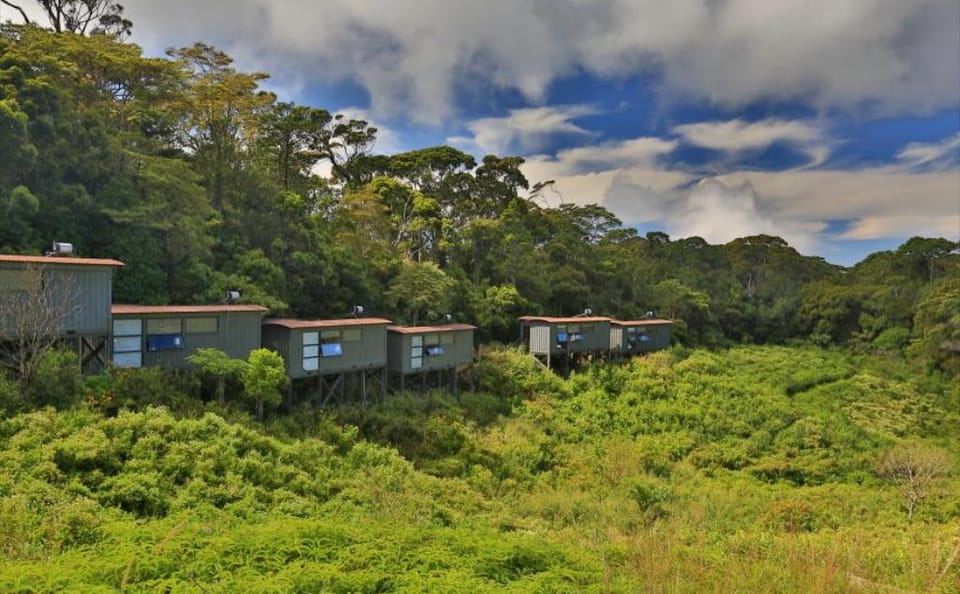 Eco-Friendly Adventure Tour in Colombo, Sri Lanka