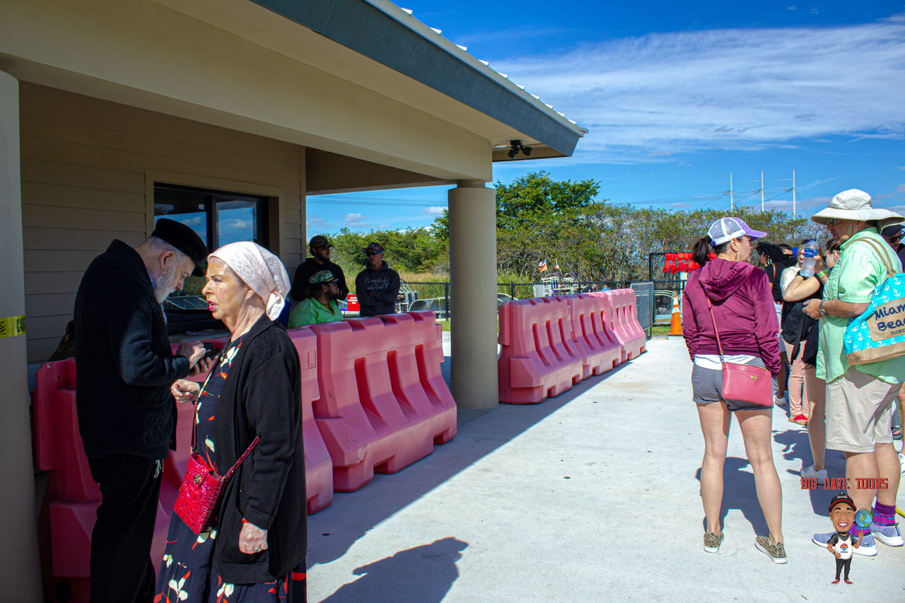 Miami's #1 Everglades Adventure: Airboat Ride, Gator Show, Park Entry & Free Transportation 3