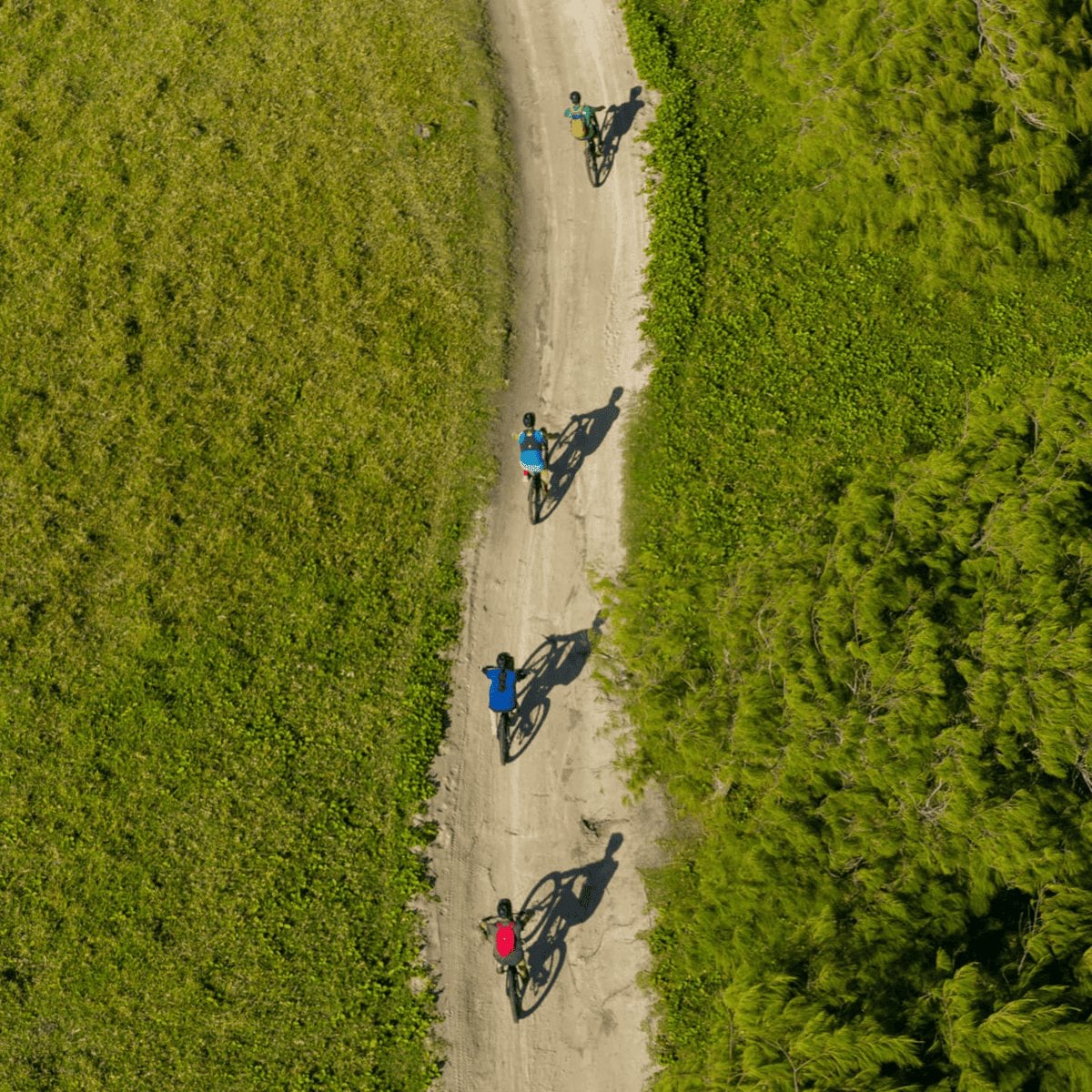 Wild South E-Bike Adventure
