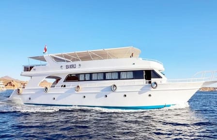 Snorkeling with Dolphins at Sataya in Marsa Alam, Egypt