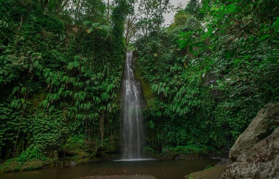 Benang Kelambu Waterfalls the Hidden Wonders of Lombok Island