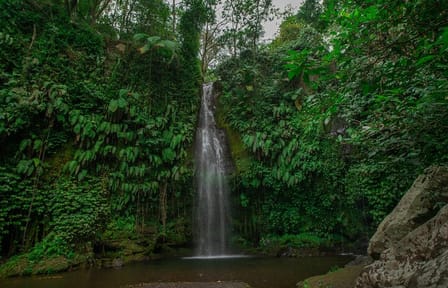 Explore Benang Kelambu Waterfalls on Lombok Island Tour