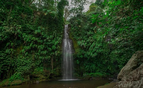 Explore Benang Kelambu Waterfalls on Lombok Island Tour