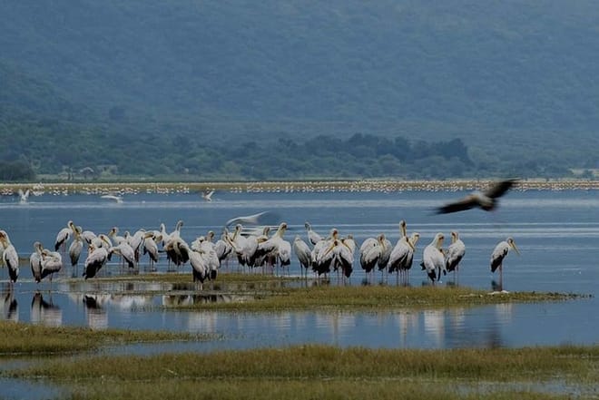 Lake Manyara