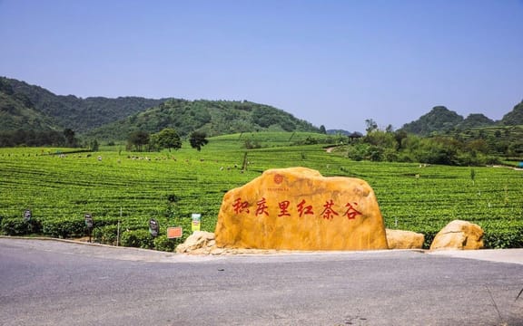 PRI Day Tour to Jiqingli Tea Plantation, Xiaqiao Underground River from Guangzhou