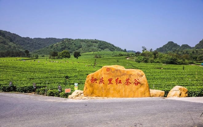 PRI Day Tour to Jiqingli Tea Plantation, Xiaqiao Underground River from Guangzhou