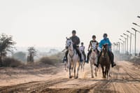 Desert Horse Riding- 1 Hour 2