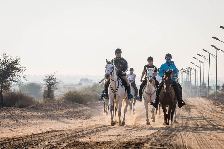 Desert Horse Riding- 1 Hour 2